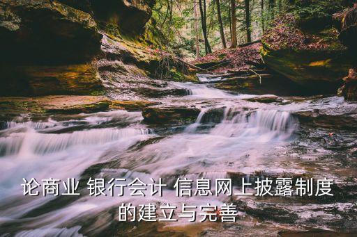 論商業(yè) 銀行會計 信息網上披露制度的建立與完善