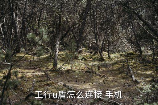 工行u盾怎么連接 手機