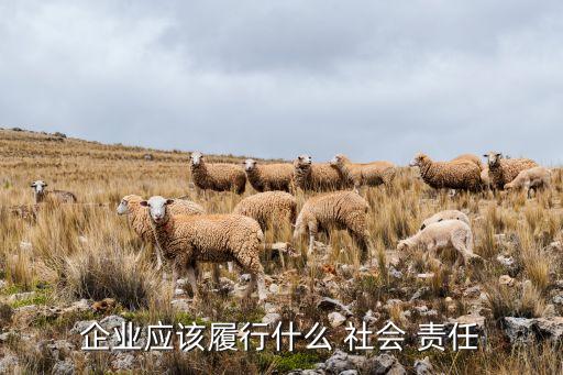 東軟集團對員工的社會責(zé)任