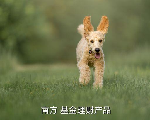  南方 基金理財產品