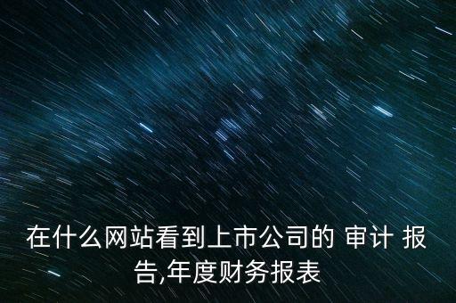 在什么網站看到上市公司的 審計 報告,年度財務報表