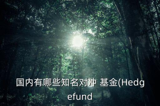 中國至宏國際產業(yè)基金,光明國際食品產業(yè)基金