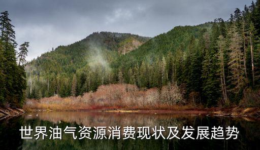 中國2013年天然氣消費(fèi)量,廣東省2022年天然氣消費(fèi)量