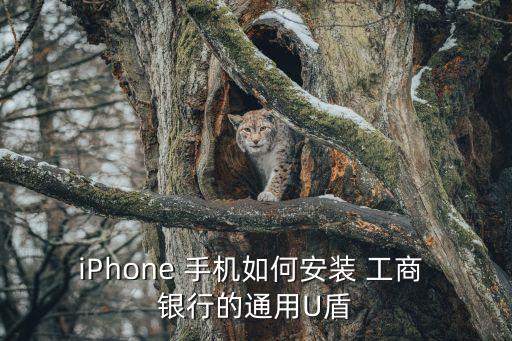 iPhone 手機如何安裝 工商 銀行的通用U盾