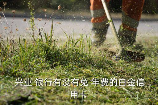 興業(yè)銀行標(biāo)準(zhǔn)金卡年費