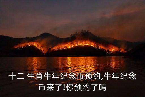十二 生肖牛年紀念幣預(yù)約,牛年紀念幣來了!你預(yù)約了嗎