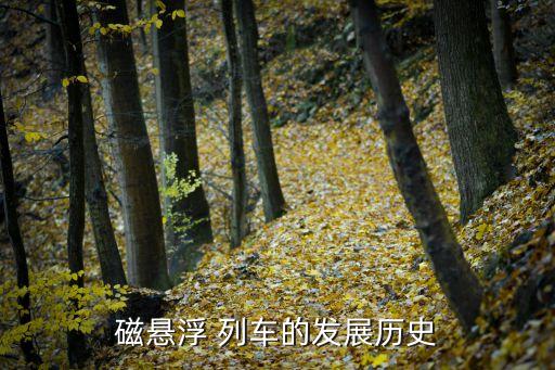 上?？罩辛熊嚰夹g(shù),上海懸掛式空中列車