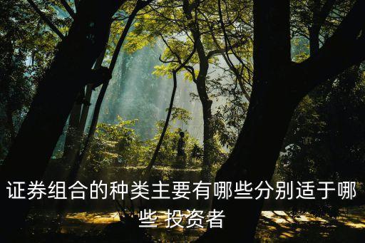 證券組合的種類(lèi)主要有哪些分別適于哪些 投資者