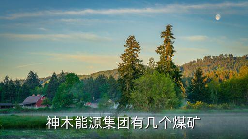 阜康市靈山焦化有限責任公司