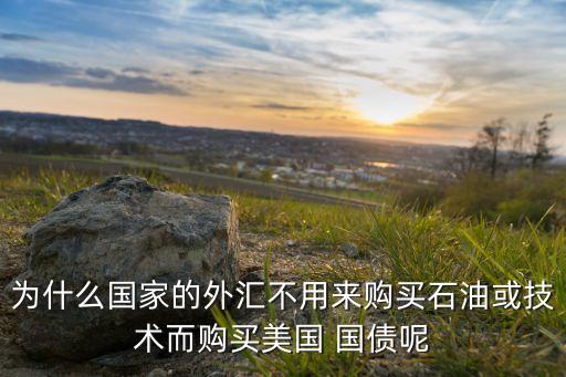為什么國(guó)家的外匯不用來購買石油或技術(shù)而購買美國(guó) 國(guó)債呢