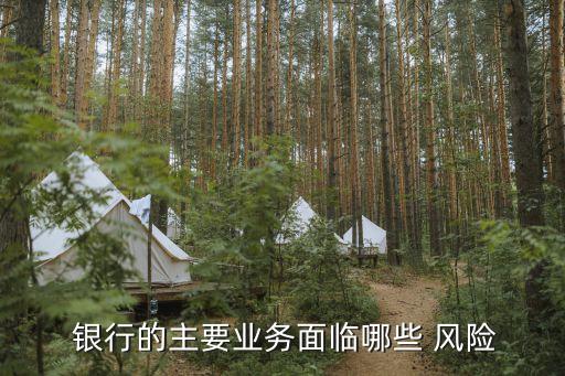  銀行的主要業(yè)務(wù)面臨哪些 風(fēng)險