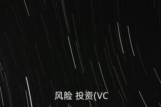 風(fēng)險投資與金融市場