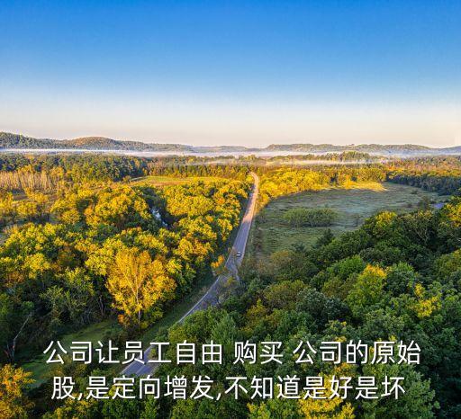  公司讓員工自由 購(gòu)買 公司的原始股,是定向增發(fā),不知道是好是壞