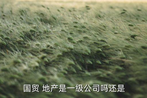  國貿 地產(chǎn)是一級公司嗎還是