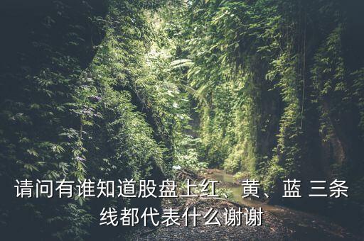 請(qǐng)問有誰知道股盤上紅、黃、藍(lán) 三條線都代表什么謝謝