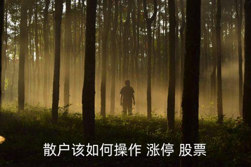 當天怎么買股票能漲停