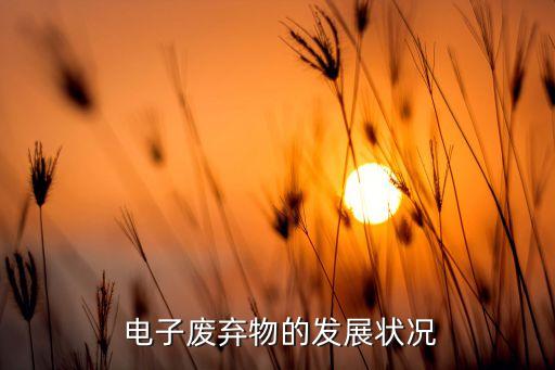  電子廢棄物的發(fā)展狀況