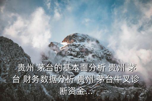 貴州茅臺公司2012年股票財(cái)務(wù)報(bào)表分析