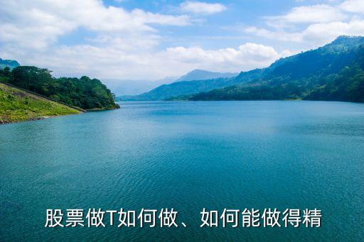  股票做T如何做、如何能做得精