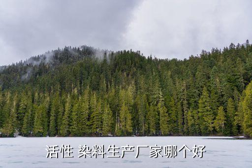 活性 染料生產(chǎn)廠(chǎng)家哪個(gè)好