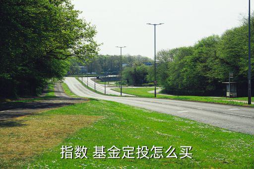 指數(shù) 基金定投怎么買(mǎi)