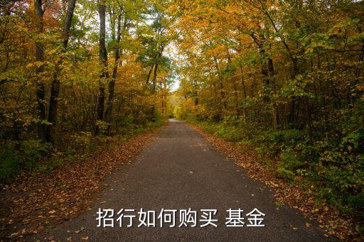招行如何購(gòu)買(mǎi) 基金