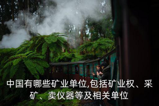 中國有哪些礦業(yè)單位,包括礦業(yè)權、采礦、賣儀器等及相關單位