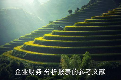 企業(yè)財務(wù) 分析報表的參考文獻(xiàn)