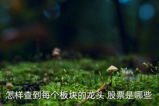 怎樣查到每個板塊的龍頭 股票是哪些