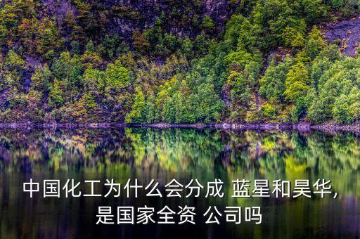 藍(lán)星有機(jī)硅國際公司,藍(lán)星星火有機(jī)硅值得去嗎