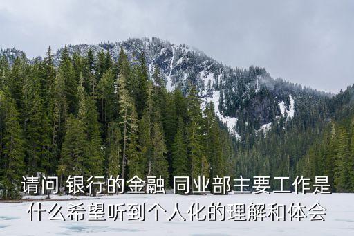 請問 銀行的金融 同業(yè)部主要工作是什么希望聽到個(gè)人化的理解和體會(huì)