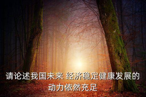 請論述我國未來 經(jīng)濟穩(wěn)定健康發(fā)展的動力依然充足