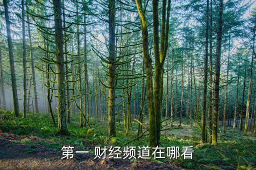 上海財經(jīng)新聞直播,24小時全球實時財經(jīng)新聞直播
