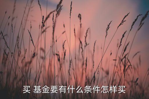 買(mǎi) 基金要有什么條件怎樣買(mǎi)