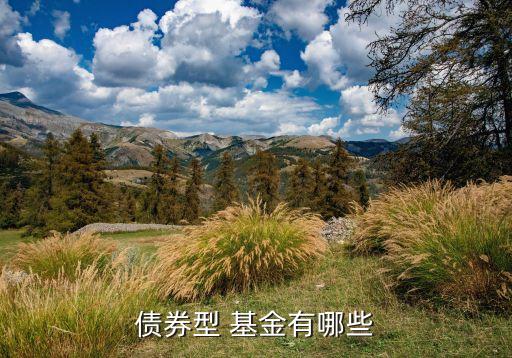 長(zhǎng)信純債基金哪個(gè)銀行可購(gòu)買(mǎi)