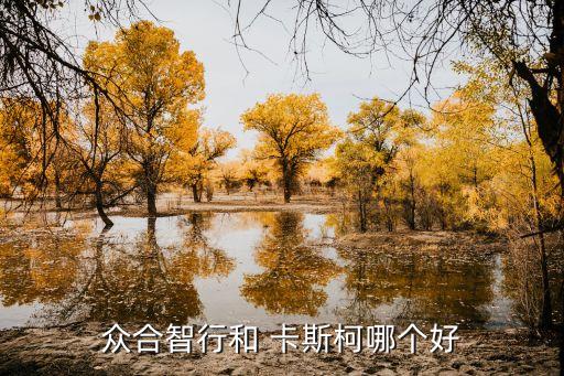 卡斯科信號公司,上?？ㄋ箍菩盘柟?/></a></span><span id=