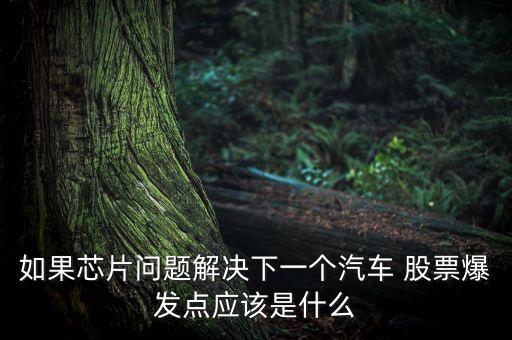 如果芯片問題解決下一個(gè)汽車 股票爆發(fā)點(diǎn)應(yīng)該是什么