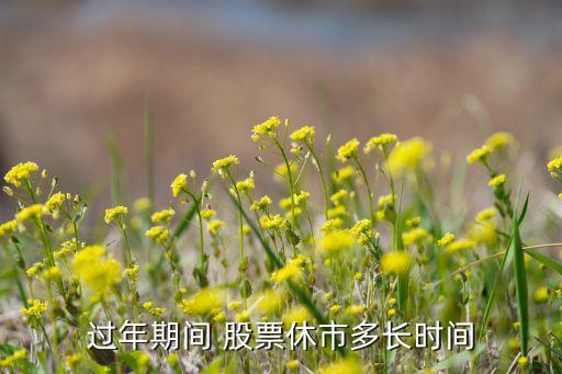 過(guò)年期間 股票休市多長(zhǎng)時(shí)間