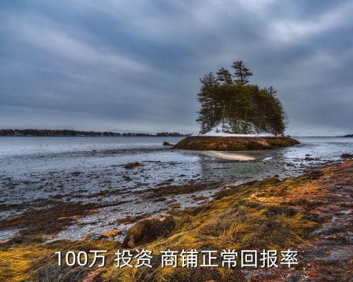 100萬(wàn) 投資 商鋪正?；貓?bào)率