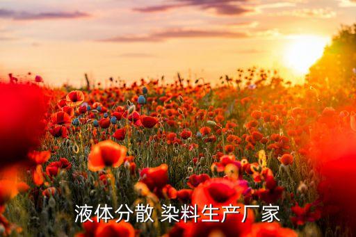 液體分散 染料生產(chǎn)廠(chǎng)家