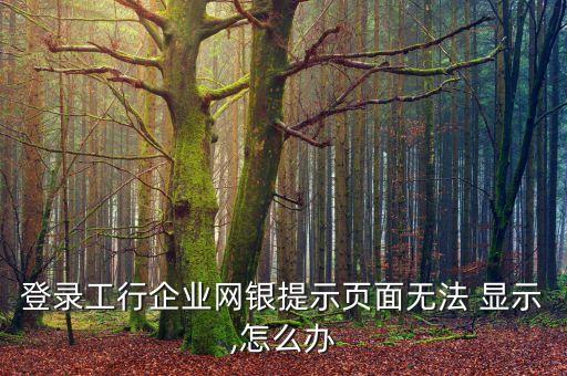 登錄工行企業(yè)網銀提示頁面無法 顯示,怎么辦
