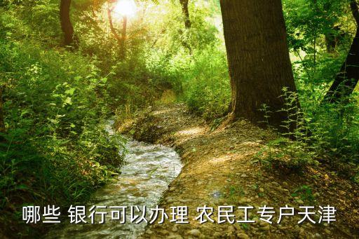 哪些 銀行可以辦理 農(nóng)民工專(zhuān)戶(hù)天津
