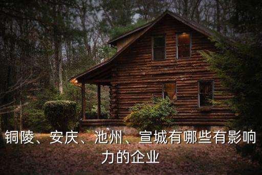 銅陵、安慶、池州、宣城有哪些有影響力的企業(yè)