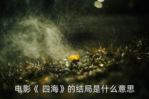 電影《 四?！返慕Y(jié)局是什么意思