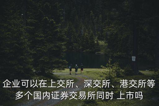 企業(yè)可以在上交所、深交所、港交所等多個(gè)國(guó)內(nèi)證券交易所同時(shí) 上市嗎