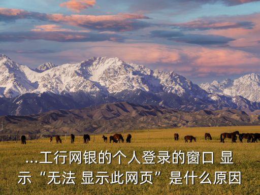...工行網銀的個人登錄的窗口 顯示“無法 顯示此網頁”是什么原因