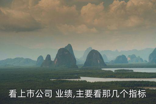 請(qǐng)問怎么看股票業(yè)績啊,怎么看一只股票的業(yè)績好不好