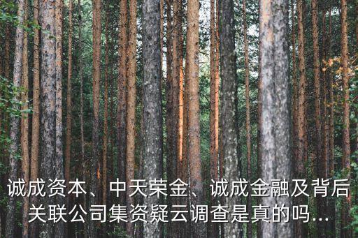 誠成資本、中天榮金、誠成金融及背后關(guān)聯(lián)公司集資疑云調(diào)查是真的嗎...