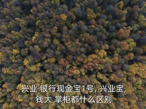  興業(yè) 銀行現金寶1號, 興業(yè)寶, 錢大 掌柜都什么區(qū)別
