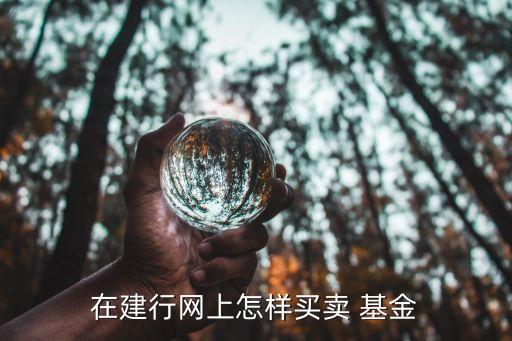 在建行網上怎樣買賣 基金